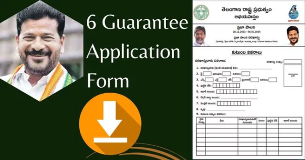 6 Guarantee Schemes Application Form