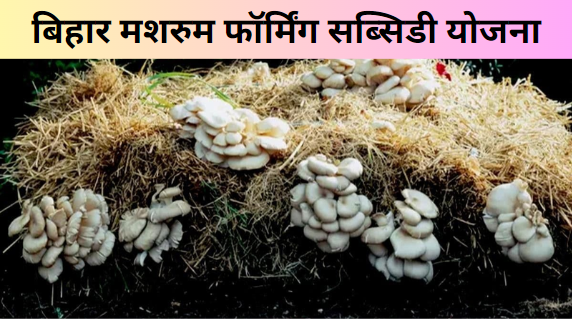 Bihar Mushroom Farming Subsidy Yojana